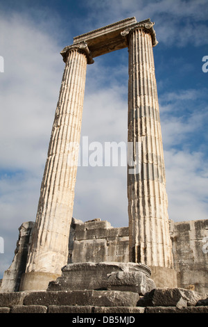 Tempel des Apollo, archäologischen Zone, Didyma, südliche Ägäis, Türkei, Asien Stockfoto