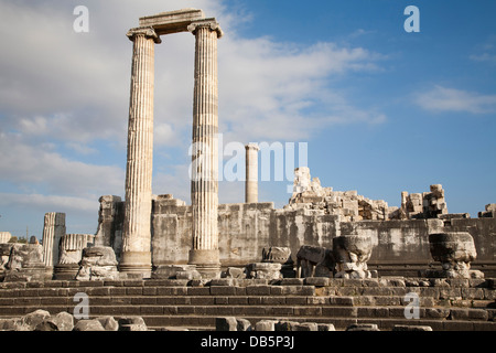 Tempel des Apollo, archäologischen Zone, Didyma, südliche Ägäis, Türkei, Asien Stockfoto