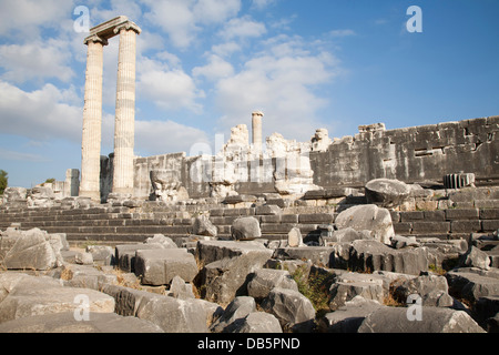 Tempel des Apollo, archäologischen Zone, Didyma, südliche Ägäis, Türkei, Asien Stockfoto