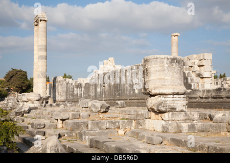 Tempel des Apollo, archäologischen Zone, Didyma, südliche Ägäis, Türkei, Asien Stockfoto