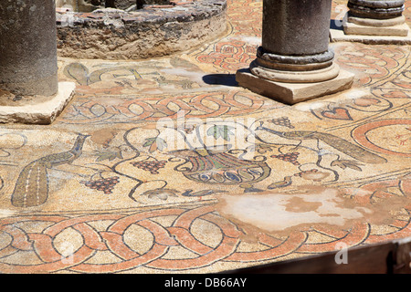 Detail aus dem Mosaik gefliest Stock des byzantinischen Baptisteriums in Butrint-Albanien Stockfoto