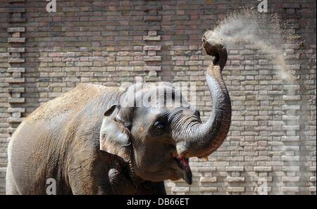 Ein Elefant wirft Sand über sich selbst im Zoo in Berlin, Deutschland, 24. Juli 2013. Foto: DANIEL REINHARDT Stockfoto