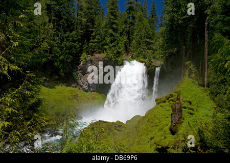 Sahalie Falls befindet sich auf der McKenzie River in den Willamette National Forest, Oregon, USA. Stockfoto