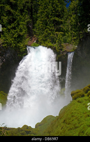 Sahalie Falls befindet sich auf der McKenzie River in den Willamette National Forest, Oregon, USA. Stockfoto