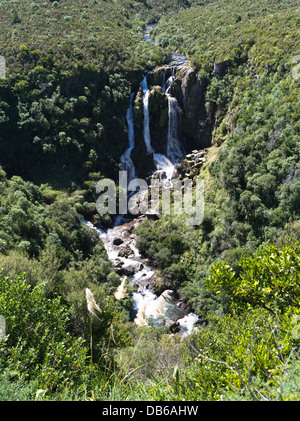 dh WAIPUNGA fällt HAWKES BAY Neuseeland Wasserfälle Waipunga Fluss im Buschland Stockfoto