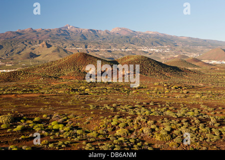 Malpasito Schlackenkegel im Süden von Teneriffa, Teneriffa, Kanarische Inseln, Spanien Stockfoto