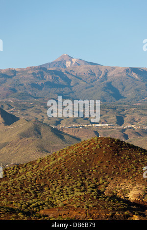 Malpasito Schlackenkegel im Süden von Teneriffa, Teneriffa, Kanarische Inseln, Spanien Stockfoto