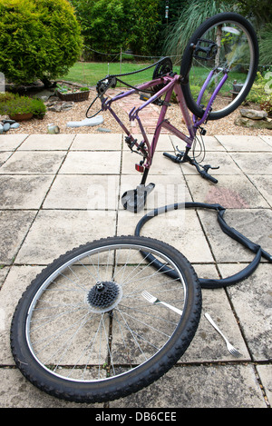 Fahrrad-Punktion-Reparatur auf Gartenterrasse Stockfoto