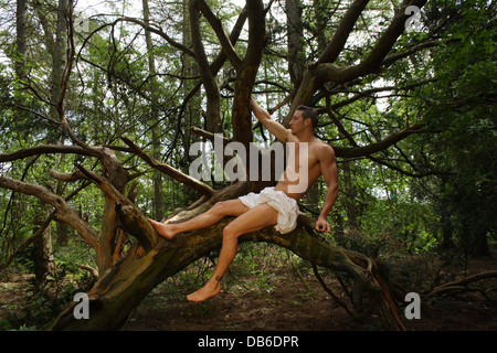 Ein männliches Modell sitzt in einem Baum. Stockfoto