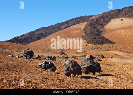 Teide Eiern oder Lava Accreation Kugeln im Teide-Nationalpark, Teneriffa, Kanarische Inseln, Spanien Stockfoto