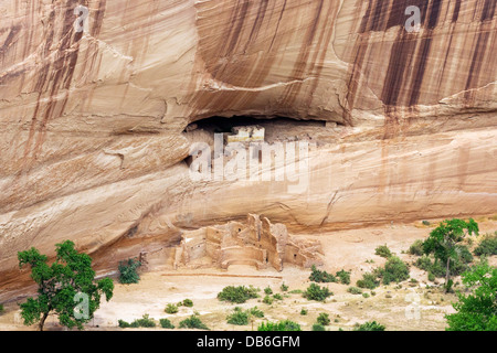 Das weiße Haus, alte Pueblo Indian Cliff Wohnung, angesehen vom South Rim, Canyon de Chelly National Monument, Arizona, USA Stockfoto