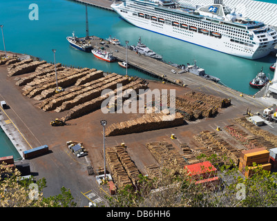 dh Napier Hafen NAPIER Neuseeland Logpiles Wald Holz Export Anmeldung Hafen Kai Kai Docklands Stockfoto