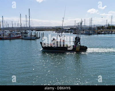 dh Napier Inner Harbour NAPIER Neuseeland New Zealand Angeln Boot segeln vergangen Napier marina Stockfoto