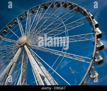 GB - DEVON: Das Rad der englischen Riviera in Torquay Stockfoto