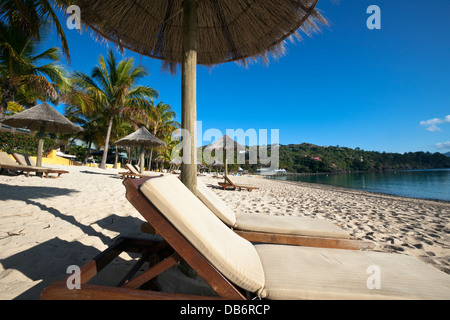 Sonnenliegen und Sonnenschirme am Strand von Katzenaugen. Hamilton Island, Whitsundays, Queensland, Australien Stockfoto