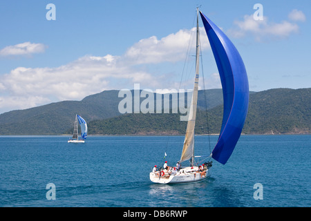 Yacht-Rennen in der Whitsunday Passage während Hamilton Island Race Week. Whitsundays, Queensland, Australien Stockfoto