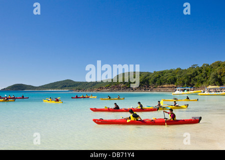 Gruppe, Kajakfahren in Whitehaven Beach, Whitsunday Island, Whitsundays, Queensland, Australien Stockfoto