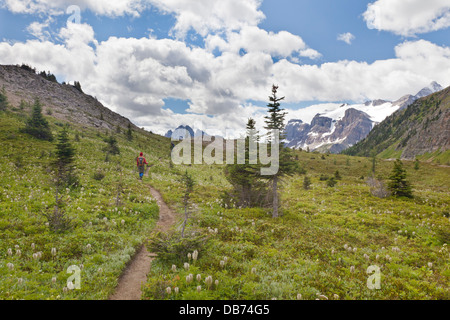 Kanada, British Columbia, Mount Assiniboine Provincial Park. Wanderer auf Pfad durch Wunder Pass. Stockfoto