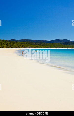 Blick entlang Whitehaven Beach in Whitsunday Islands National Park. Whitsunday Island, Whitsundays, Queensland, Australien Stockfoto