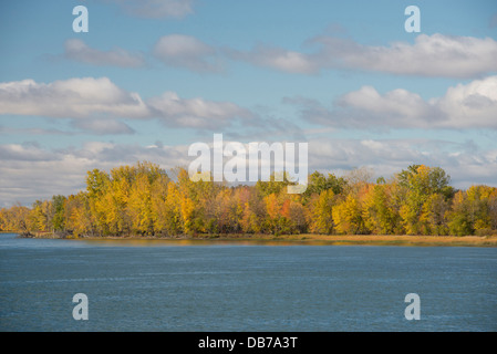 Kanada, Quebec, St.-Lorenz-Strom in der Nähe von Three Rivers (aka Trois-RiviËres). Herbstfarben entlang des St. Lawrence River. Stockfoto