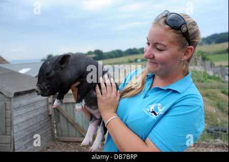 Junge Frau, die Handhabung einer Miniatur vietnamesischen Pot Bellied Schwein auf Frühling Scheune Hof in Lewes. Das Schwein hat Heuschnupfen Stockfoto