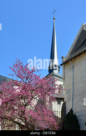 Altstadt und Glockenturm und blühender Baum in Saumur, Gemeinde im Département Maine-et-Loire, Pays De La Loire-Region, im Westen Stockfoto