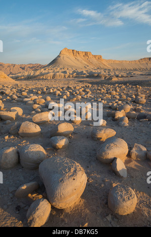 Bulbus Felsen Feld und Mount Zin. Zin Tal. Negev-Wüste. Israel. Stockfoto