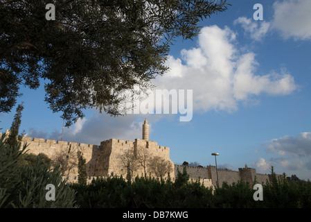 Zitadelle von David und Stadtmauern durch Olivenbaum mit leichten Wolken gesehen. Altstadt von Jerusalem. Israel. Stockfoto