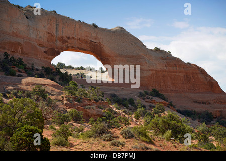 Wilson Arch Stockfoto