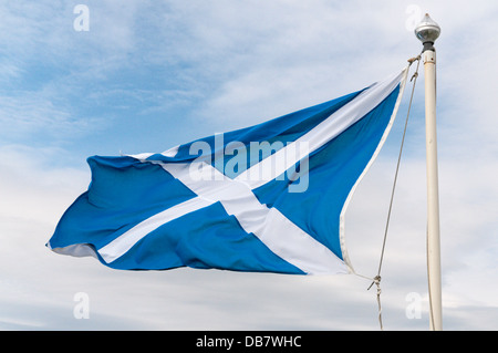 Schottische Flagge. Stockfoto