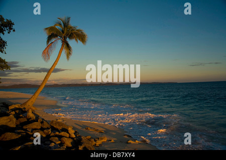 Afrikanischen Ländern - Madagaskar - Nosy Iranja ist kleine Insel im nördlichen Madagaskar Sonnenuntergang Palm Tree Kokosnuss Offshore-Nosy Be Stockfoto