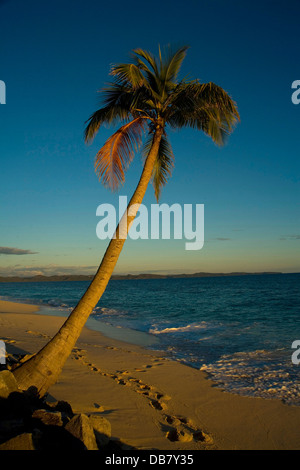 Afrikanischen Ländern - Madagaskar - Nosy Iranja ist kleine Insel im nördlichen Madagaskar Sonnenuntergang Palm Tree Kokosnuss Offshore-Nosy Be Stockfoto