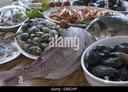 frische Bluefish: gesunde roher Fisch gemischt Stockfoto