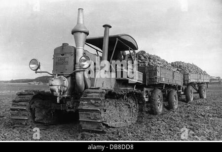 Landwirtschaft, Maschinen, Lanz Bulldog Traktor bei der Zuckerrübenernte, 50er Jahre, Zusatz-Rights-Clearences-not available Stockfoto