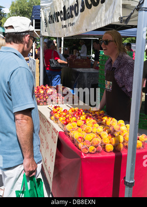 dh Farmers Market HASTINGS NEW ZEALAND Sunday Market People Customer Einkaufen Obsthändler Stände Bauern Märkte hawkes Bay Essen Stockfoto