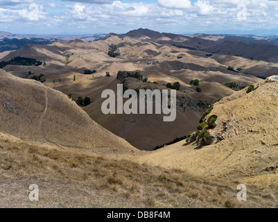 dh Te Mata Peak HAWKES BAY NEUSEELAND Blick auf die trockene Sommerlandschaft vom Aussichtspunkt aus Hanglage landschaft der nz-Landinsel havelock Nordlandschaften Stockfoto