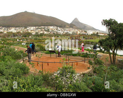 Biodiversität-Garten im grünen Punkt städtischen Park, Kapstadt Stockfoto