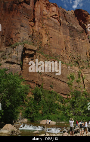 Blauer Himmel Porträt Menschen stehen Wasserfall unter grünen Bäumen Sandsteinfelsen, Virgin River, Riverside Walk, Zion Canyon in Utah Stockfoto