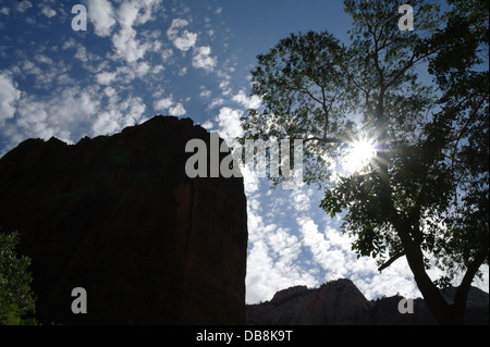 Blauer Himmel Sonne Sterne Silhouette breite Krone Strukturansicht und schwarze vertikale Canyon Wand Cliff, Scenic Drive, Zion Canyon, Utah, USA Stockfoto