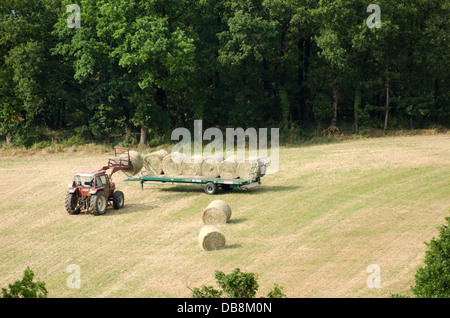 Traktor Heuballen auf einen Anhänger laden Stockfoto