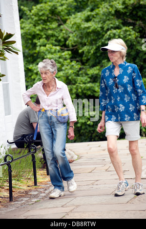 verschiedene ältere reife Erwachsene zu Fuß im Park erwachsenen Mannes Erwachsene Frauen und Rollstuhl Stockfoto