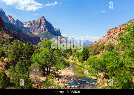 Virgin River mit Blick auf den Watchman Peak, gesehen von einer Brücke auf der Zion-Mount Carmel Highway (SR9), Zion National Park, Utah, USA Stockfoto