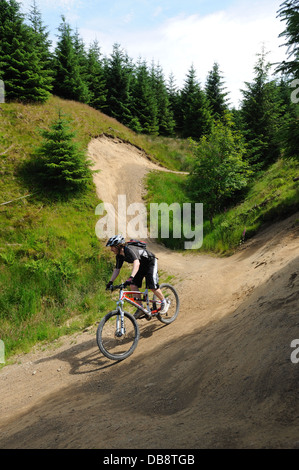 Mountainbiker auf Hully Gully, Gisburnund Wald Stockfoto