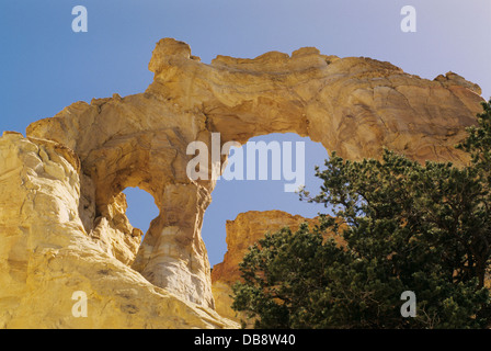 Grosvenor Arch, Grand Staircase-Escalante National Monument, UT 930624 109 Stockfoto