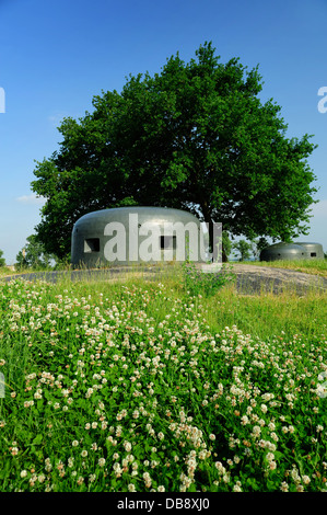 Miedzyrzecki befestigte Region, MRU-befestigten Bogen oder und Warthe (Deutsch Ostwall oder Festungsfront, Daimler-Benz, Daimler-Benz, Stockfoto