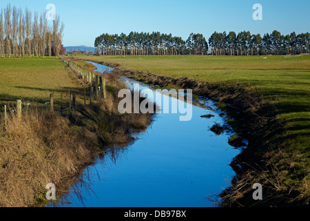 Entwässerungsrinne und teilweise eingezäunt-Anliegerstaaten Streifen Taieri Plains, in der Nähe von Dunedin, Südinsel, Neuseeland Stockfoto