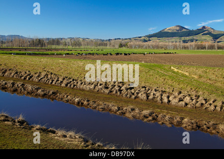 Silber-Stream und Flut Banken, Taieri Plains, in der Nähe von Dunedin, Südinsel, Neuseeland Stockfoto