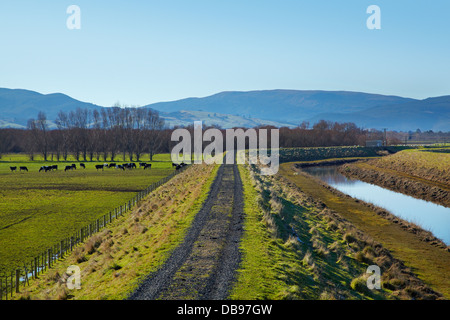 Silber-Stream und Flut Banken, Taieri Plains, in der Nähe von Dunedin, Südinsel, Neuseeland Stockfoto