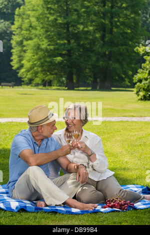 Älteres paar romantischen Picknick im sonnigen park Stockfoto