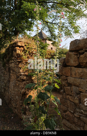 Pigeonnier und Stockrosen wachsen auf einem Broken Wall in der mittelalterlichen Weiler La Contie, Teil der Gemeinde Najac, Aveyron, Royal, Frankreich Stockfoto